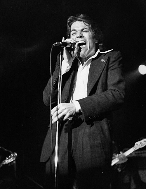 Robert Palmer (musician)